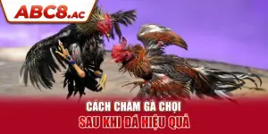 cach-cham-ga-choi-sau-khi-da-hieu-qua