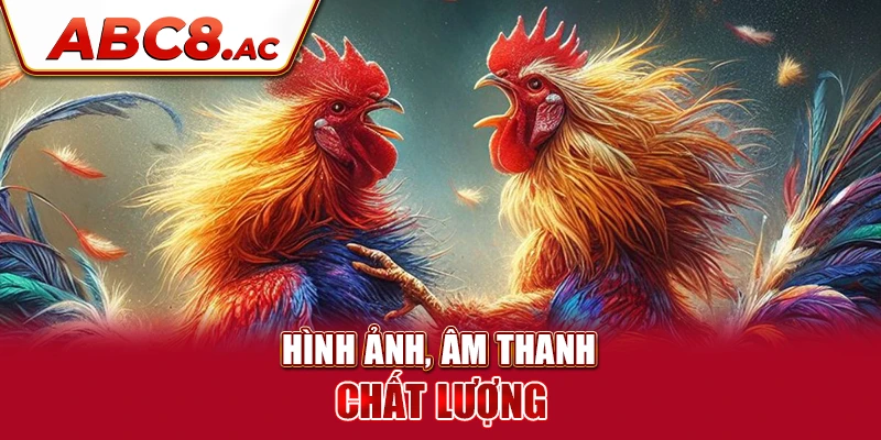 da-ga-abc8-voi-hinh-anh-am-thanh-chat-luong